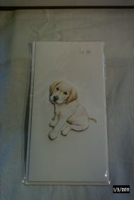 golden labrador puppy